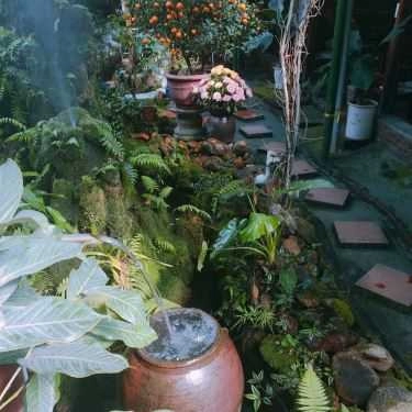 Tổng hợp- Giao Mùa Cafe