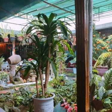 Tổng hợp- Giao Mùa Cafe