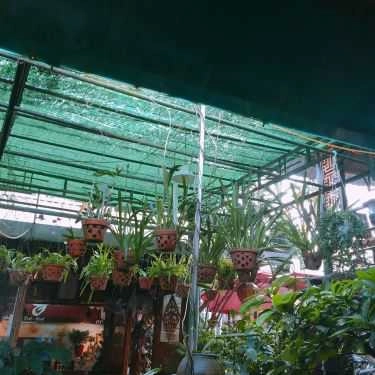 Tổng hợp- Giao Mùa Cafe