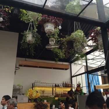 Tổng hợp- Green House Coffee