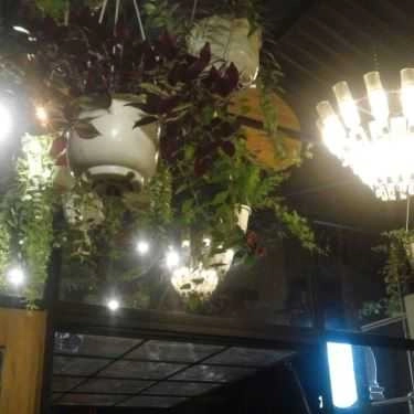 Tổng hợp- Green House Coffee