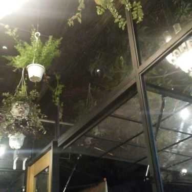 Tổng hợp- Green House Coffee