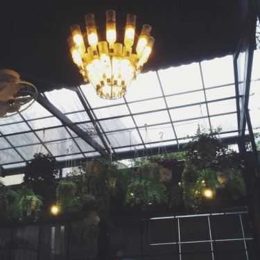 Tổng hợp- Green House Coffee