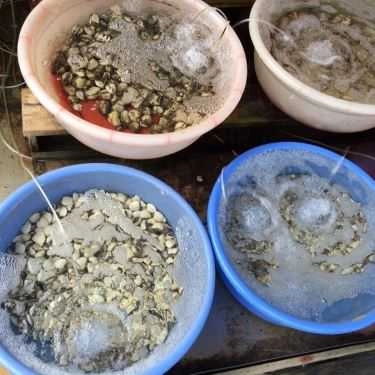 Tổng hợp- Nhà Hàng Hải Sản Bé Thân - Lăng Cô