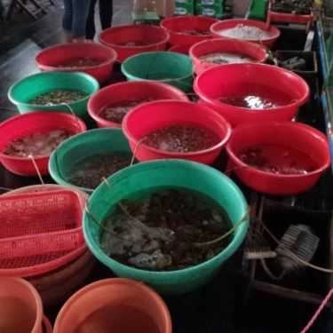 Tổng hợp- Nhà Hàng Hải Sản Biển Ngọc