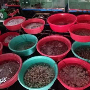 Tổng hợp- Nhà Hàng Hải Sản Biển Ngọc