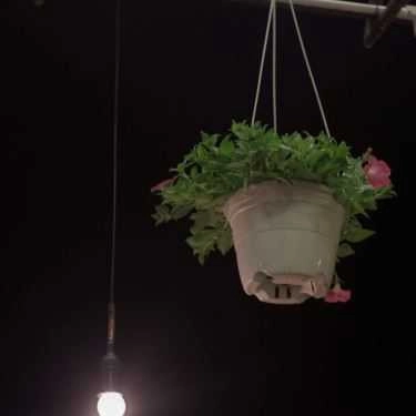 Tổng hợp- Hangout - Coffee & Bar