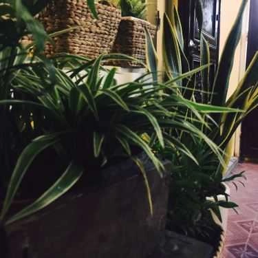 Tổng hợp- Hẻm Living Cafe