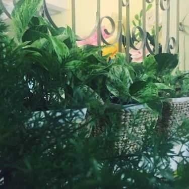 Tổng hợp- Hẻm Living Cafe