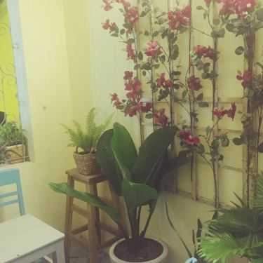 Tổng hợp- Hẻm Living Cafe