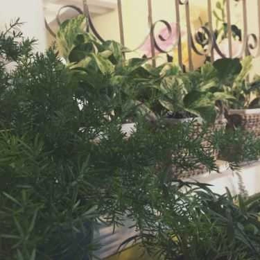 Tổng hợp- Hẻm Living Cafe