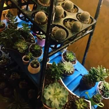 Tổng hợp- Hẻm Living Cafe
