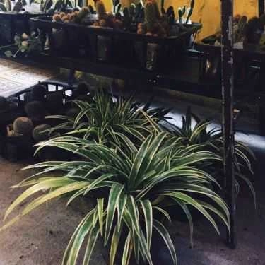 Tổng hợp- Hẻm Living Cafe