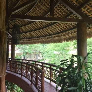 Không gian- Nhà Hàng Hoa Sen Restaurant - Alba Thanh Tân