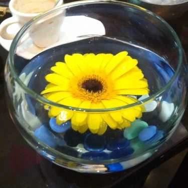 Tổng hợp- Hoàng Hạc Cafe