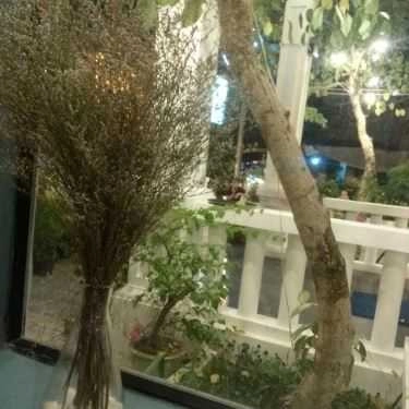 Tổng hợp- Kafein Cafe
