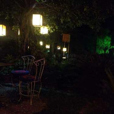 Tổng hợp- Cafe Kem Kangaroo