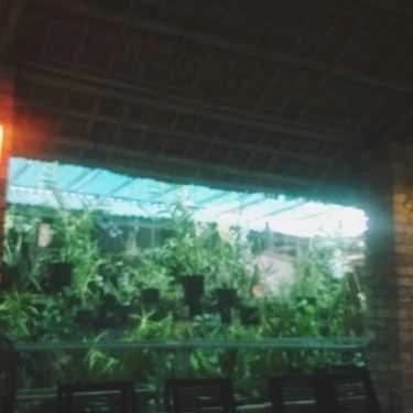 Tổng hợp- Khoảng Khắc Cafe