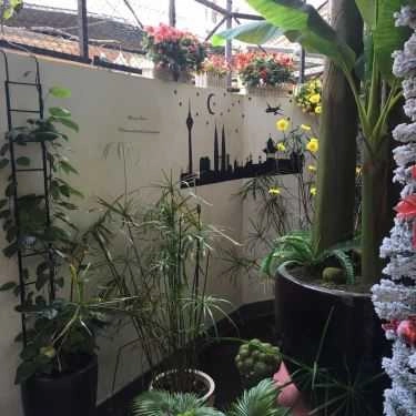Tổng hợp- Cafe Sweet Kingdom