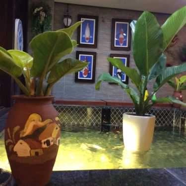 Tổng hợp- Koi Cafe