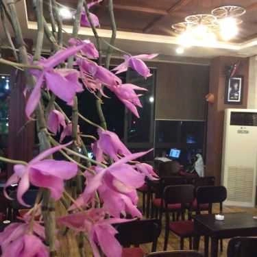 Tổng hợp- Koi Cafe