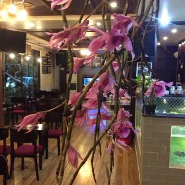 Tổng hợp- Koi Cafe