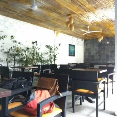 Tổng hợp- Koi Coffee