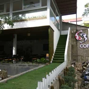 Tổng hợp- Koi Coffee