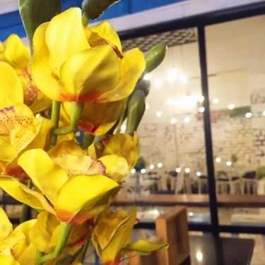 Tổng hợp- La Sirene Coffee