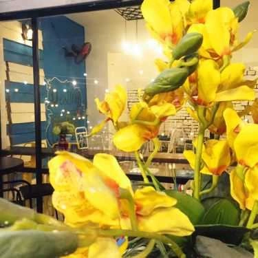 Tổng hợp- La Sirene Coffee