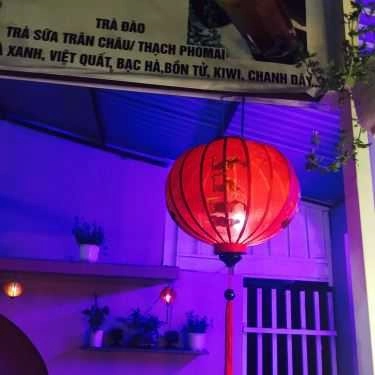 Tổng hợp- Cafe Lavy - Kem Cá Hàn Quốc