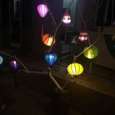 Tổng hợp- Cafe Lavy - Kem Cá Hàn Quốc