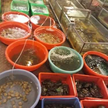 Tổng hợp- Nhà Hàng Làng Chài Restaurant - Hải Sản