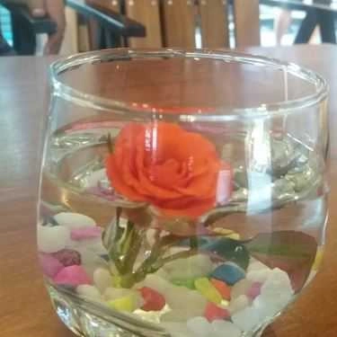 Tổng hợp- Cafe Lavender Drink & Food