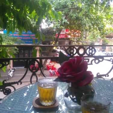 Tổng hợp- Louis Showroom Cafe