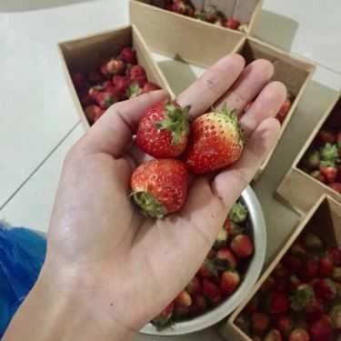 Món ăn- Ăn vặt Mỡ Mỡ Fruits & Yogurt
