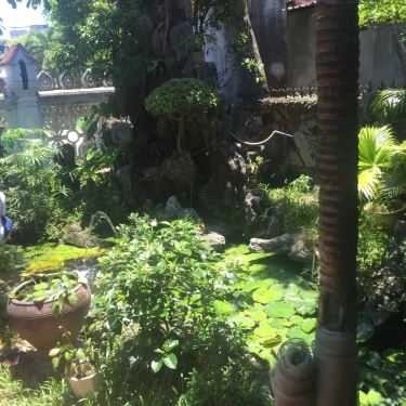 Tổng hợp- Nhà Hàng Liên Hoa Thư Quán - Món Chay