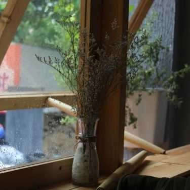 Tổng hợp- Mọt - Cafe Sách