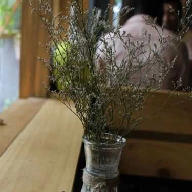 Tổng hợp- Mọt - Cafe Sách