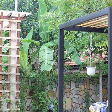 Tổng hợp- Cà Phê Muối - Đặng Thái Thân
