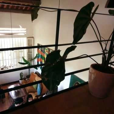 Tổng hợp- Nghĩa Cafe