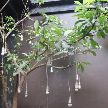Tổng hợp- Ngô Coffee - Điện Biên Phủ