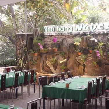 Tổng hợp- Nhà Hàng Ngọc Anh Restaurant - Cơm Niêu & Hải Sản