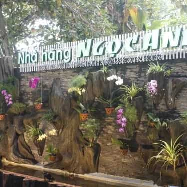 Tổng hợp- Nhà Hàng Ngọc Anh Restaurant - Cơm Niêu & Hải Sản