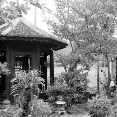 Tổng hợp- Nhà Hàng Sân Mây - Món Chay