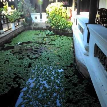 Tổng hợp- Nhà Hàng Vườn Ngự Hà - Món Chay