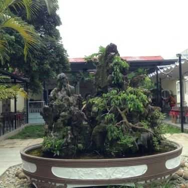 Tổng hợp- Dã Viên - Nhà Hàng Sân Vườn