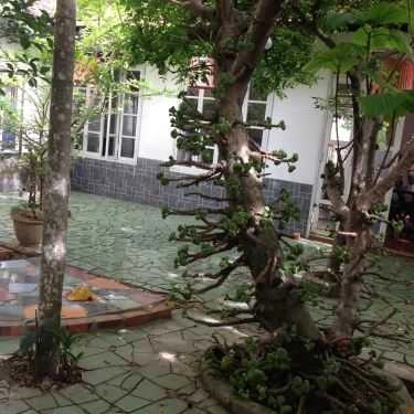 Tổng hợp- Nhà Hàng Hương Cau - Nguyễn Bỉnh Khiêm