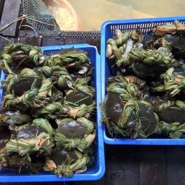 Tổng hợp- Nhà Hàng Nổi Việt Long
