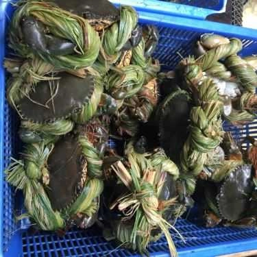 Tổng hợp- Nhà Hàng Nổi Việt Long